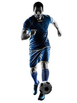 MK体育 主要标志